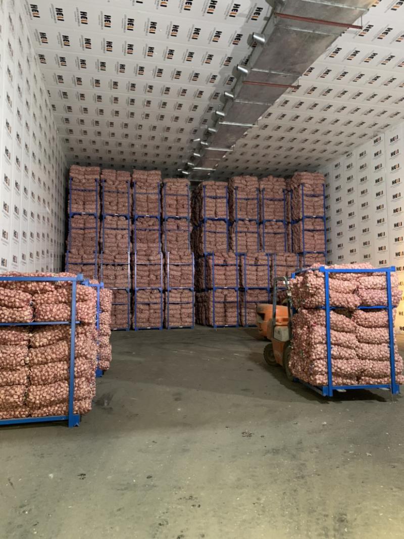 大蒜冷库储存技术要点