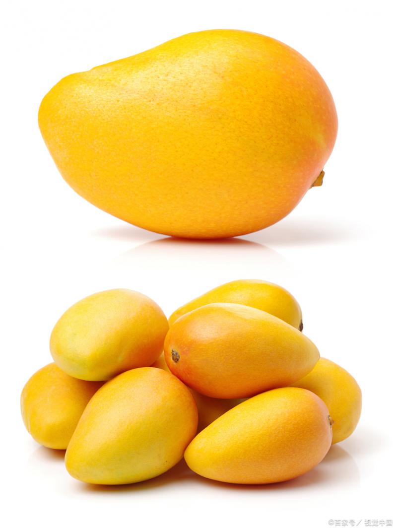 常德芒果冷库：锁住热带鲜美的“时光胶囊”